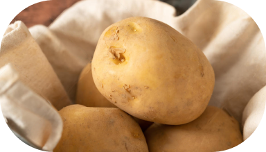 馬鈴薯